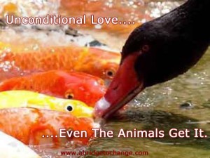 Unconditional Love